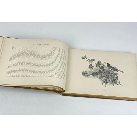 Antique 1890 In A Fair Country Thomas Wentworth Higginson Irene Jerome HC Book E - Picture 10 of 10